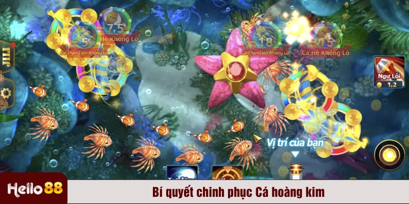 Bí quyết chinh phục Cá hoàng kim