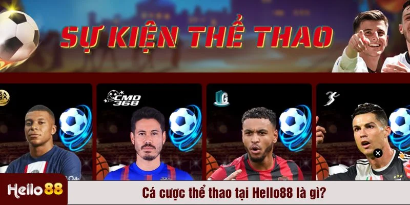 Sảnh cá cược thể thao của Hello88 mang đến trải nghiệm giải trí hấp dẫn