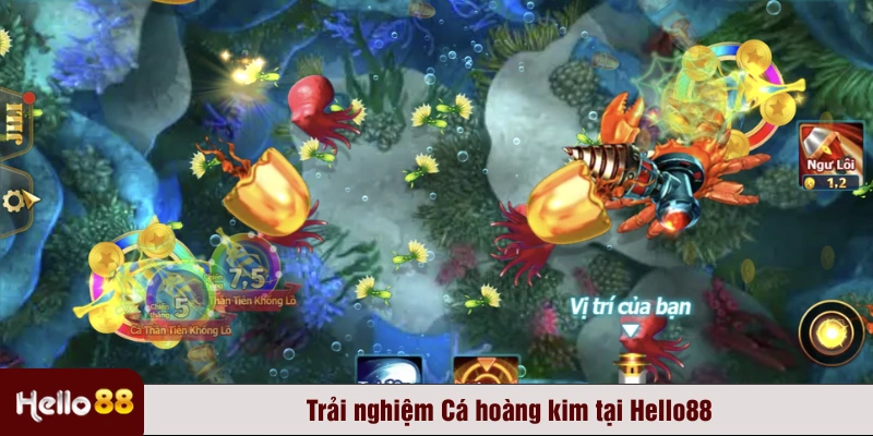 Trải nghiệm Cá hoàng kim tại Hello88