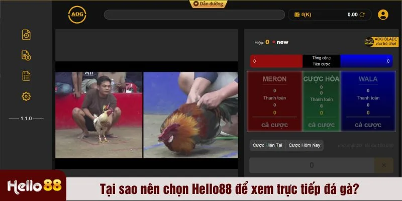 Xem trực tiếp đá gà chuẩn HD từ các trường gà quốc tế